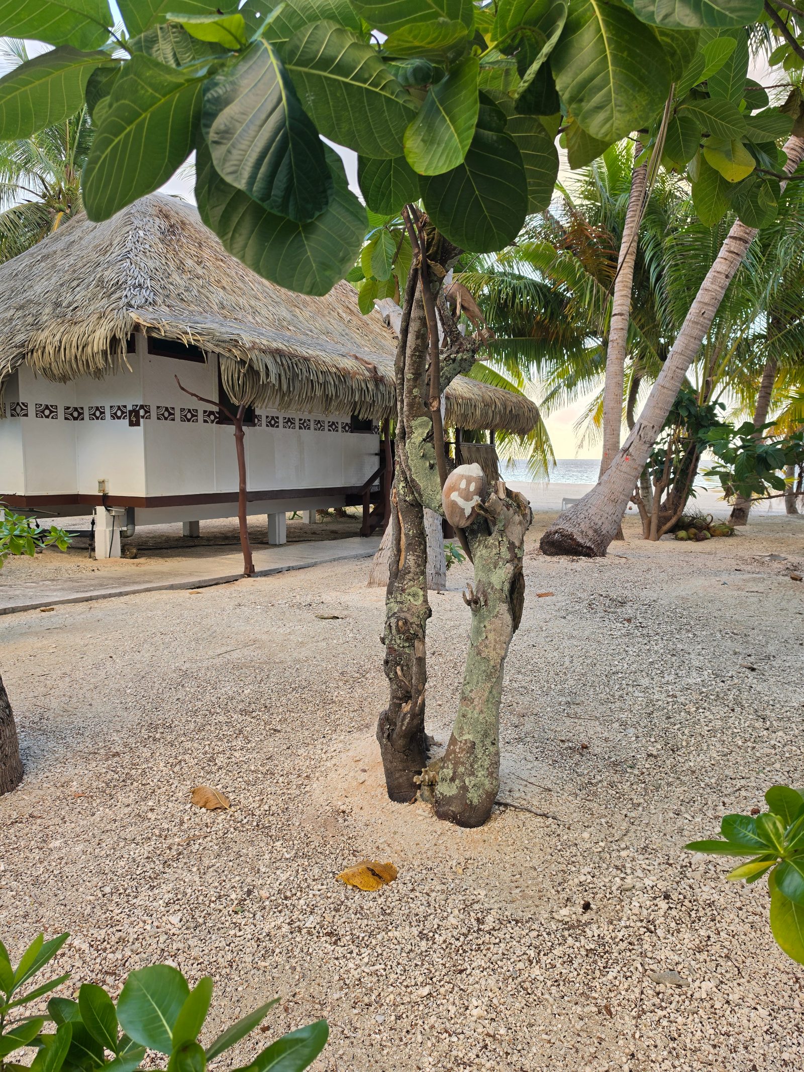 Tikehau Paradise