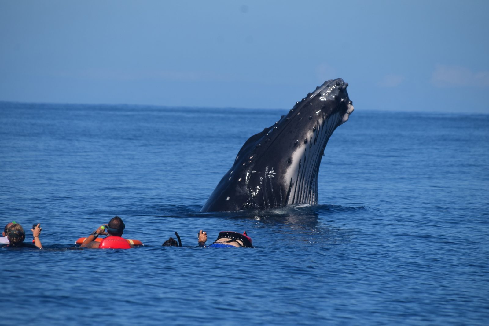 Tātahi Tours