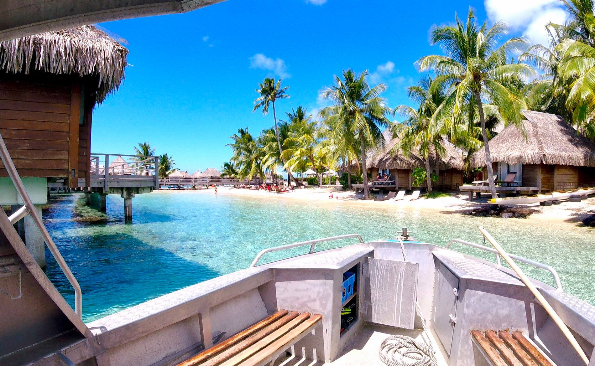 Moorea Blue Diving
