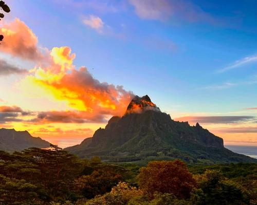 Moorea Tours - Moorea safari tours 3