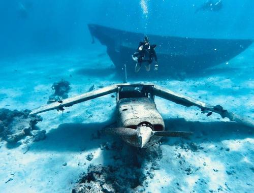 Dive and Sea Tahiti 4