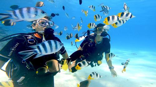 HiRO DiVE Bora Bora 3