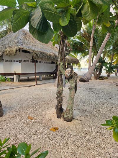 Tikehau Paradise