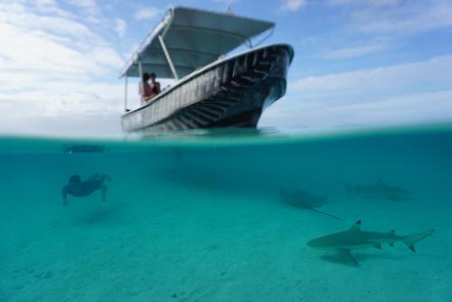Tama Tours Moorea 3