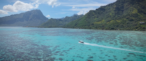 Captain Taina Moorea 4