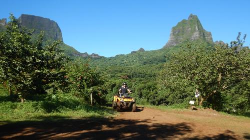Moorea Activities Center 2