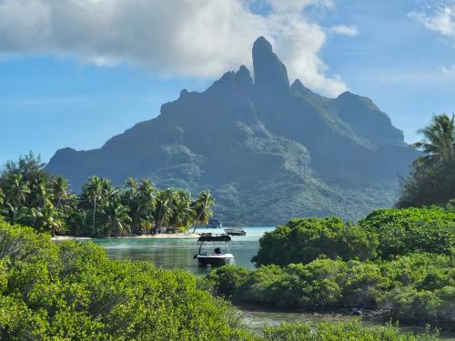Bora Bora Service/ Fishing Bora Bora 2