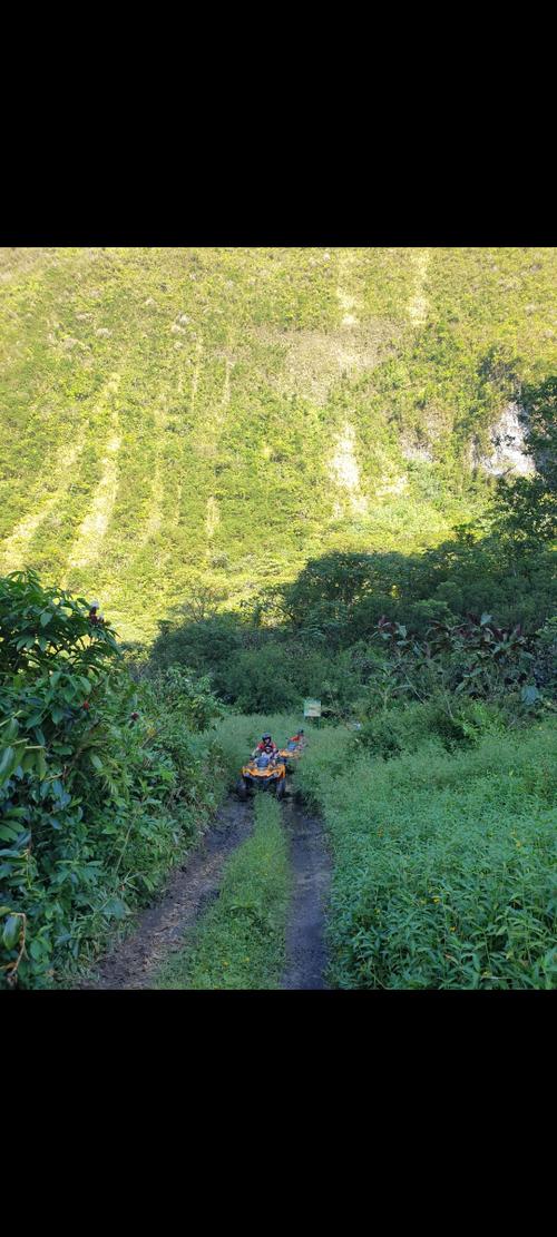 Vaihiria Quad Tahiti 3
