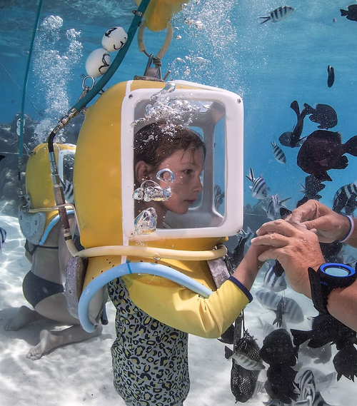 Aquasafari 4