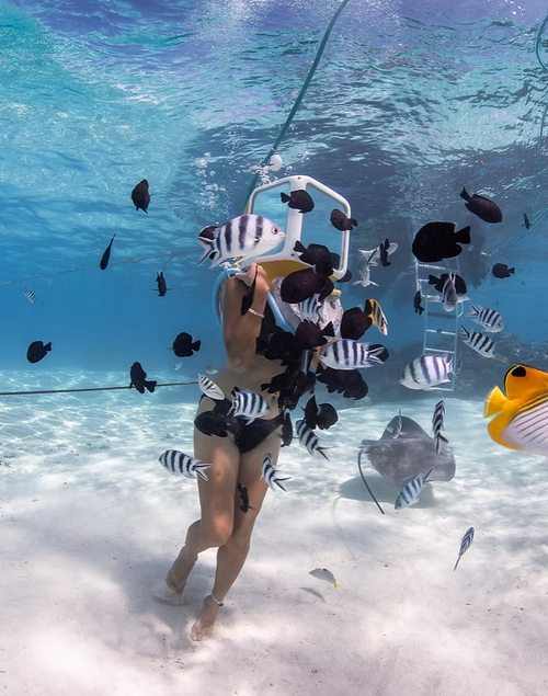 Aquasafari 3