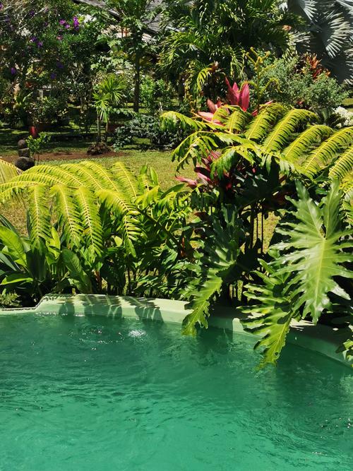 OMATI LODGE Tahiti 2