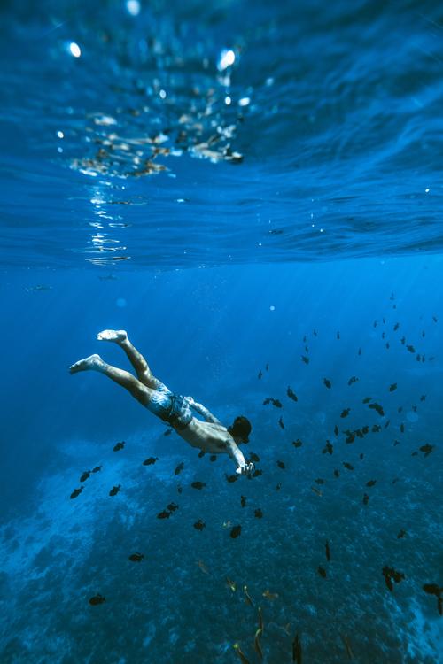 Moorea Sea Experience  4