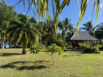 Paeao maupiti