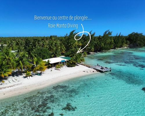 Raie manta diving Tikehau  3