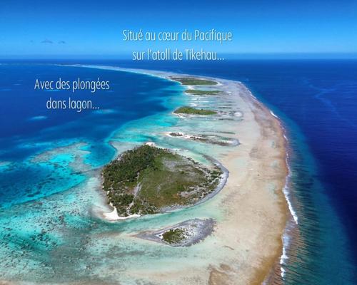 Raie manta diving Tikehau  4