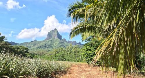 Quad Bike Moorea 2
