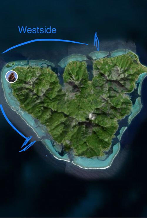 Mooreaecotour 4