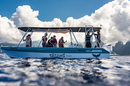 Tātahi Tours  4