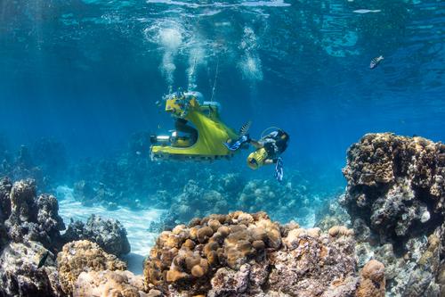Bora Océan Adventures  1