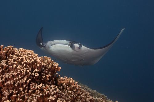 Bora Océan Adventures  4