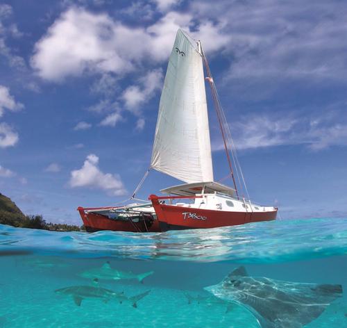 Voila Moorea 2