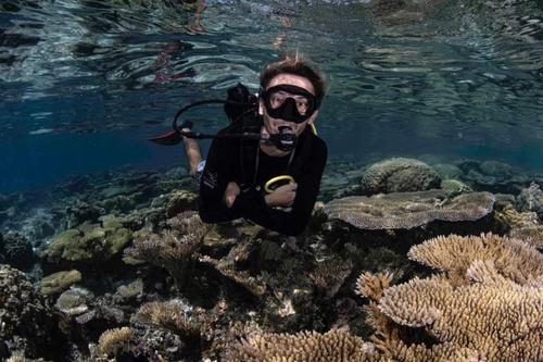 Coco Dive Tikehau 1