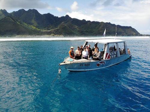 Moorea Blue Diving 4